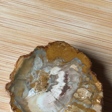 Jewelry Dish made of Petrified Wood