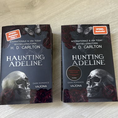 Livres Haunting Adeline
