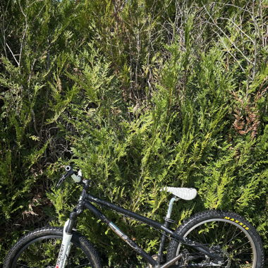 Bergamont Dirt Bike