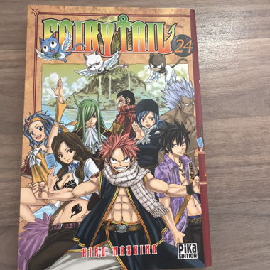 Manga Fairy Tail 24