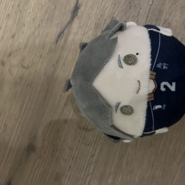 Haikyuu!! Plüschfiguren Set – Karasuno & Aoba Johsai