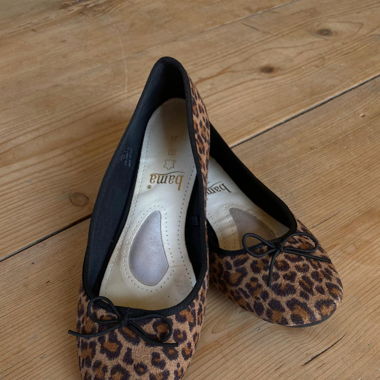 Leo Ballerinas