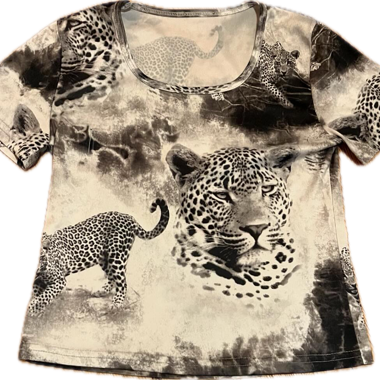 Leopard print top