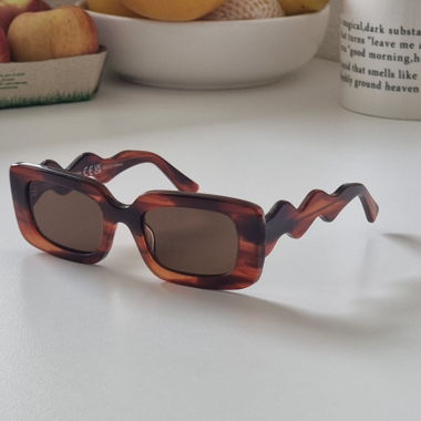 NEW Sunglasses 
