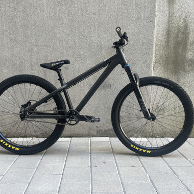 Santa Cruz Jackal