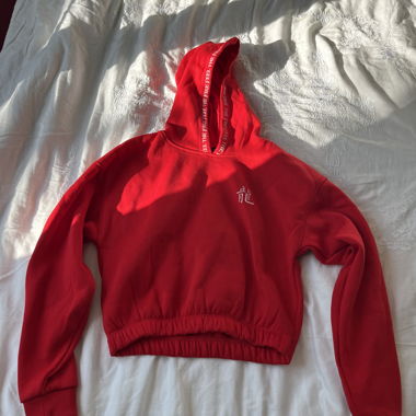 Cropped red dragon hoodie