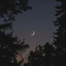 MoonRabe