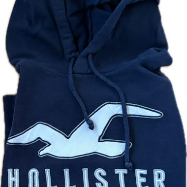 Felpa Hollister XL