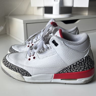 Jordan 3 Special Edition Hall of Fame