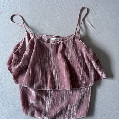 Zara Pink Velvet Top