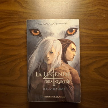 La Leggenda dei Quattro - saga completa