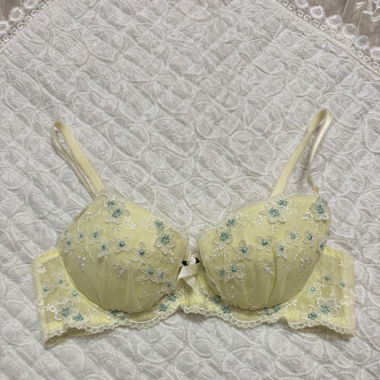 Yellow Embroidery Lace Bra (New-80B)