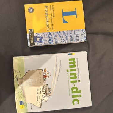 Mini livres de vocabulaire (dic) et Langenscheidt
