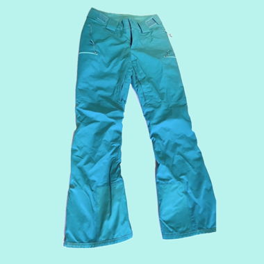 petrol the north face ski pants