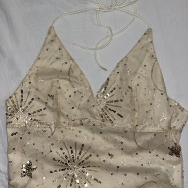 Beige Gold Glitter Top