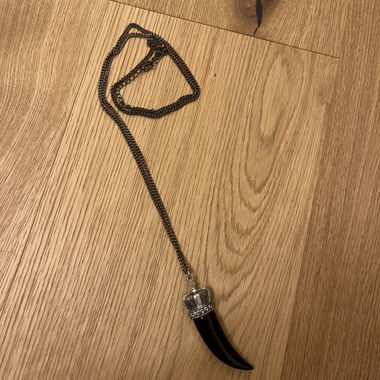 Horn-Anhaenger Kette