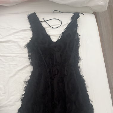 Schwarzes Federkleid