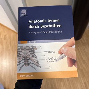 Imparare l’anatomia etichettando