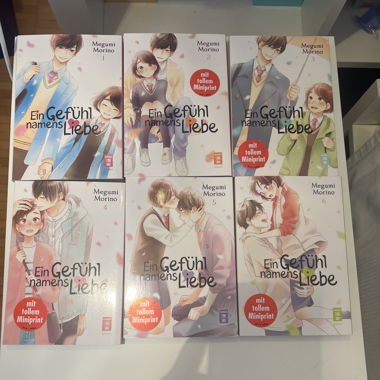 Un sentimento chiamato Lieba Manga 1-11