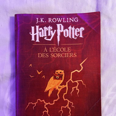 Libro di Harry Potter