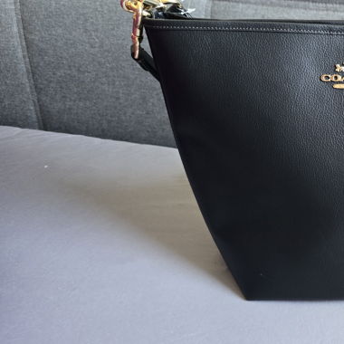 Borsa Coach
