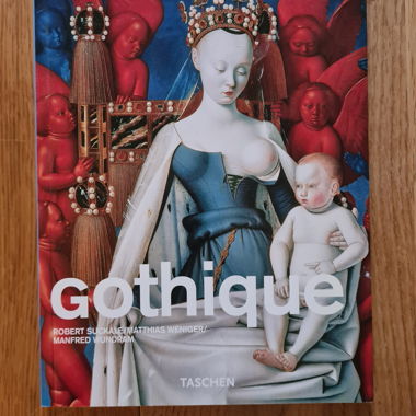 Libro sull'arte gotica 