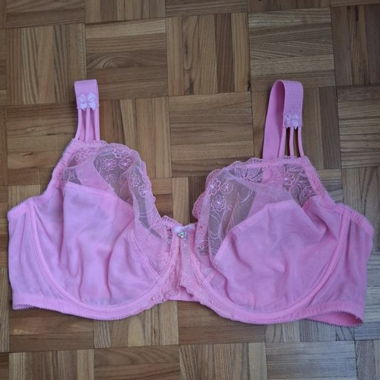 Nuance Pink Bra (New)