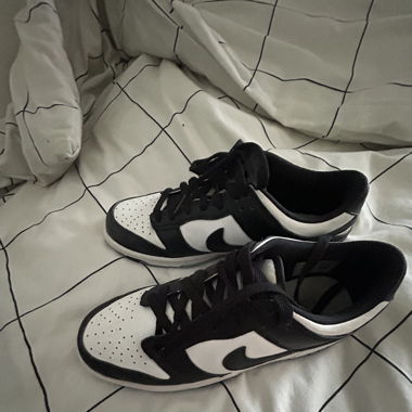 Nike Panda Schuhe