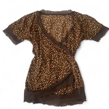 Brown Embellished V-Neck Blouse