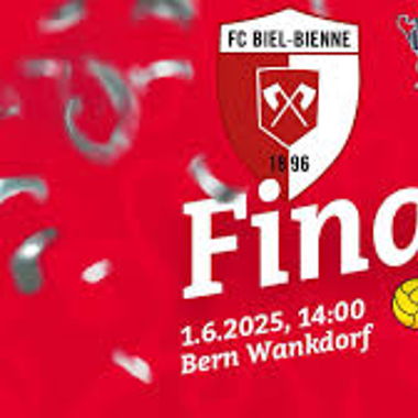 Cupfinal Tickets FC Basel - FC Biel Gegentribüne
