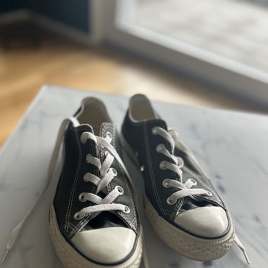 Converse 36.5