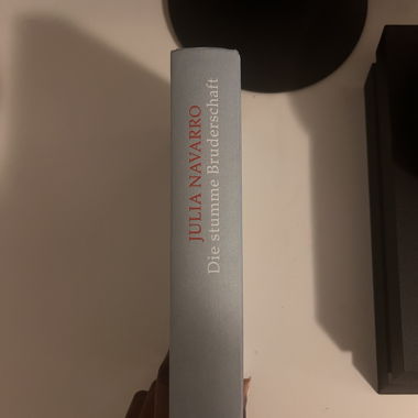 JULIA NAVARRO - Die stumme Bruderschaft