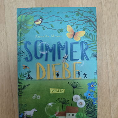 Sommerdiebe Buch