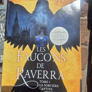 Les Faucons de Raverra T1
