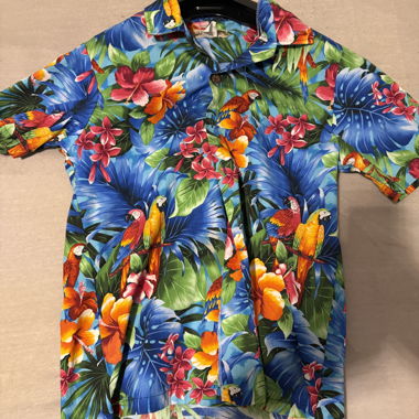 Camicia hawaiana
