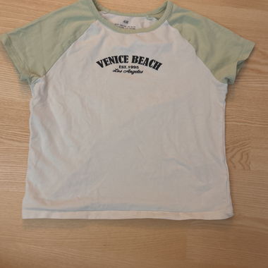 Venice Beach Summer T-shirt