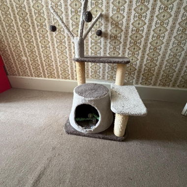 Grey Cat Tree