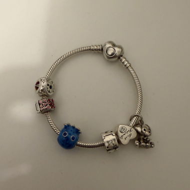 Pandora Charm-Armband