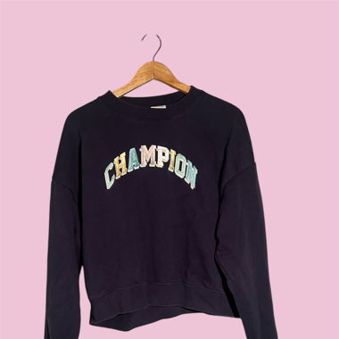 Champion Pulli