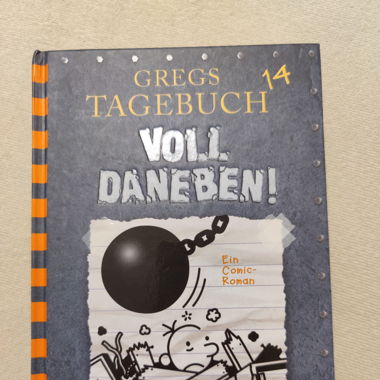 Gregs Tagebuch 14