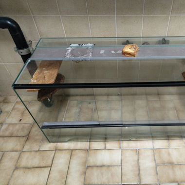 Terrarium 100 x 50 x 40