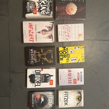 Thriller Bücher-Set
