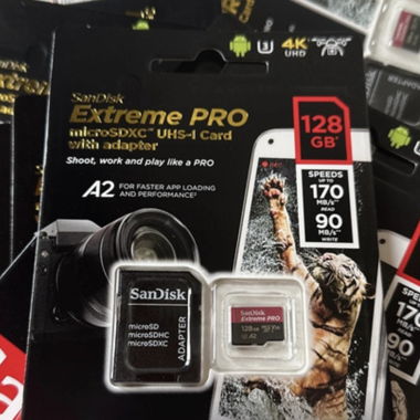 SanDisk Card