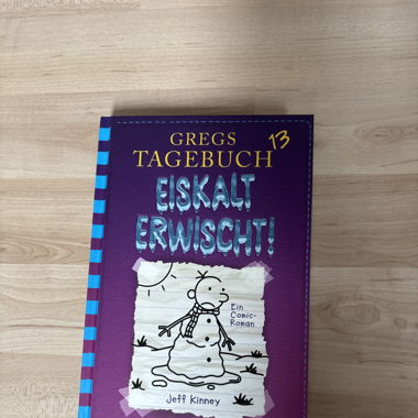 Gregs Tagebuch 13