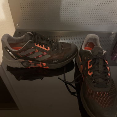 Chaussures de trail Adidas Terrex Agravic Flow 2 GTX