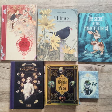 Set Kinderbücher und Märchen neu