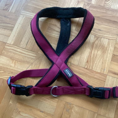 Bordeaux Dog Harness