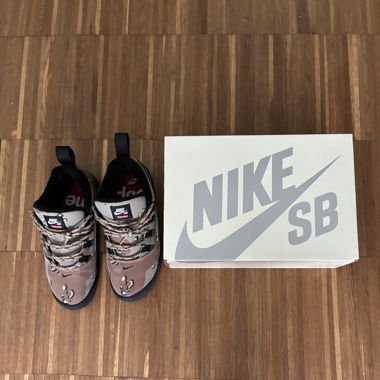 Nike Supreme Darwin sb low