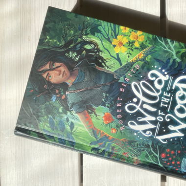 Buch: Willa of the Woods 