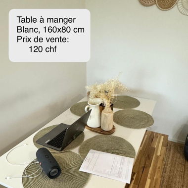 Table à manger ou bureau large
